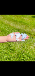 Sticker/Magnet Bundle